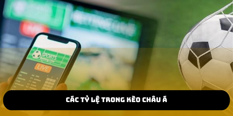 Có nhiều tỷ lệ kèo chấp khác nhau phụ thuộc vào từng trận đấu